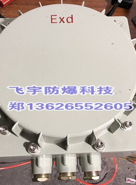 300*300*160 IICT4防爆接线箱 防爆配电箱 控制箱 隔爆型防爆箱