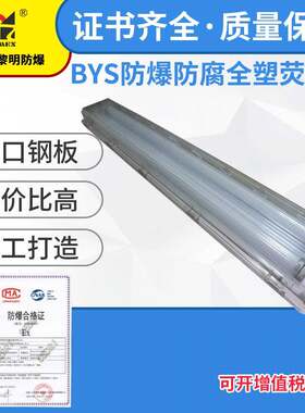 防爆防腐全塑荧光灯新黎明BYS-2双管化工厂车间厂房照明灯具