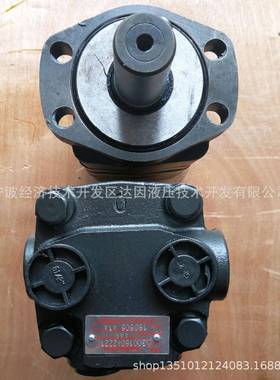 300160A2221AAA后油口面液压马达
