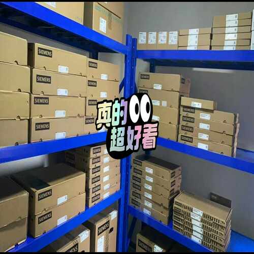 咨询-6SL3126-1TE23-0AA3驱动器