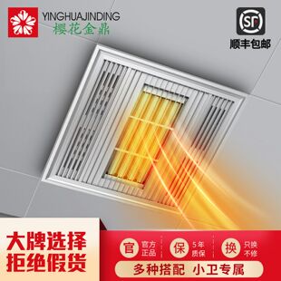 超导单风暖浴霸300x300集成吊顶家用卫生间LED灯暖风机浴室取暖器