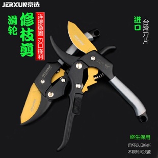 京选果树修枝剪刀园艺修剪树枝园林省力修花枝剪强力粗枝剪子