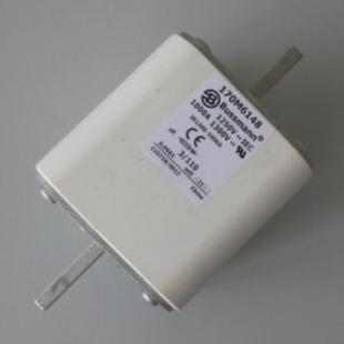 1706148 FUSE SEITRON
