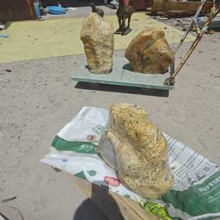 23cm重150斤一 莱州竹叶石共三块 议价 会所收回