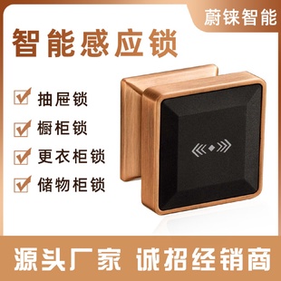 智能桑拿鎖浴室感應(yīng)衣柜鎖電子桑拿柜鎖更衣柜電子鎖ID感應(yīng)柜鎖