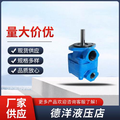 迅液压油泵V10V201P6P38D20V101P7P2P3P38D20叶片泵