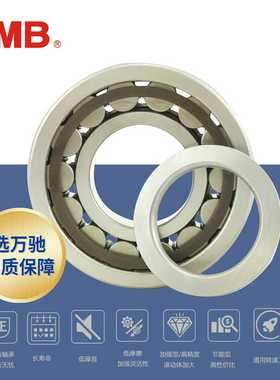 TMB/轴承NUP2206ECP高精度圆柱滚T子轴承ET/-E-TVP2旗舰品质