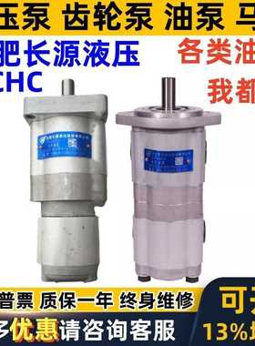 合肥长源双联泵CBWLN-F308/F10-CLPL CBWL-E310/E310/E320/F312