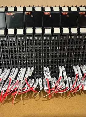 /plcNX-TS3101，4点测温热电偶适用