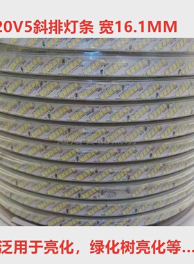 28355斜排灯带220v高压防水120珠软灯条LED光带高亮户外工程款