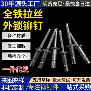 全铁拉丝外锁铆钉口杯型拉铆钉全铝全铁不锈钢外锁拉丝抽芯铆钉厂