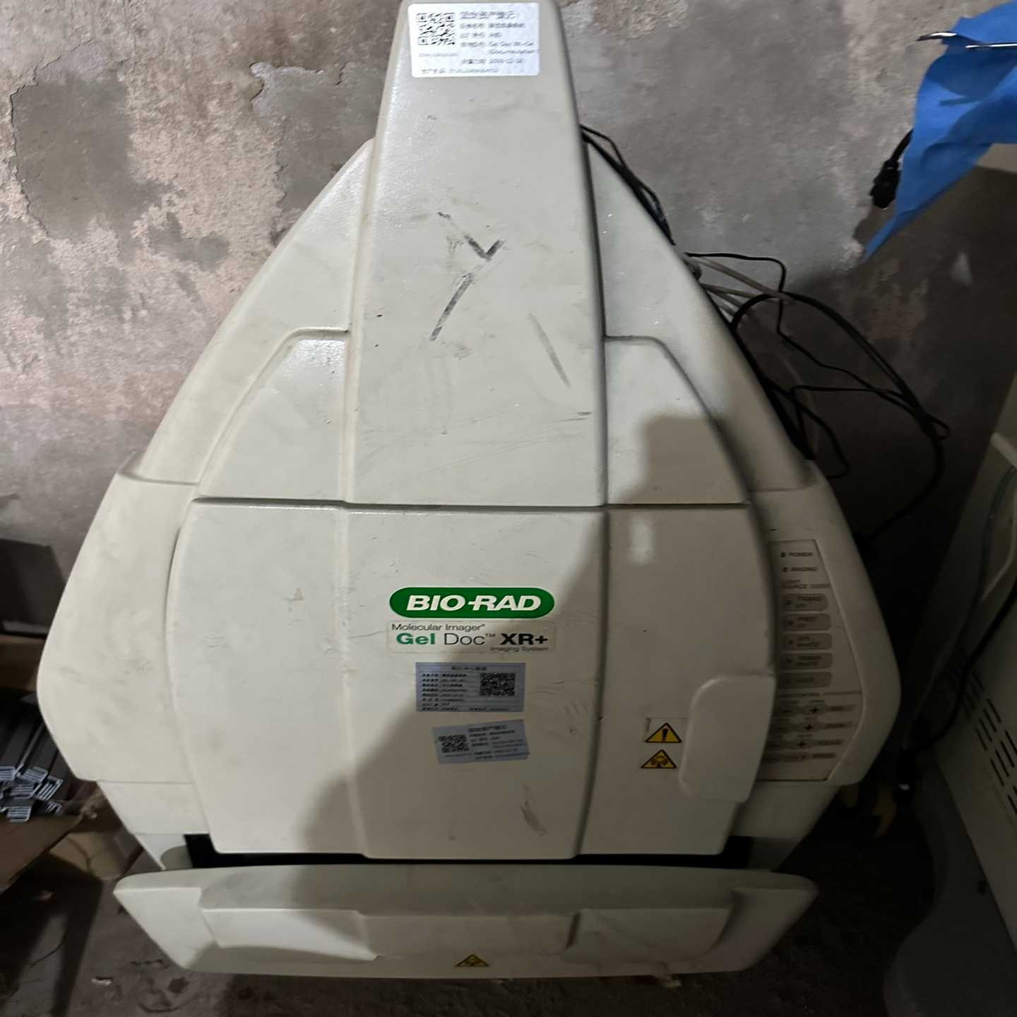 :BIO-RAD伯乐XR询价