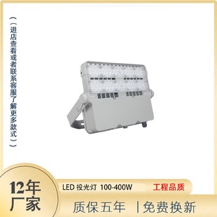 出口爆款 仿飞款 压铸LED模组投光灯高杆灯泛光灯100W150W200W400W