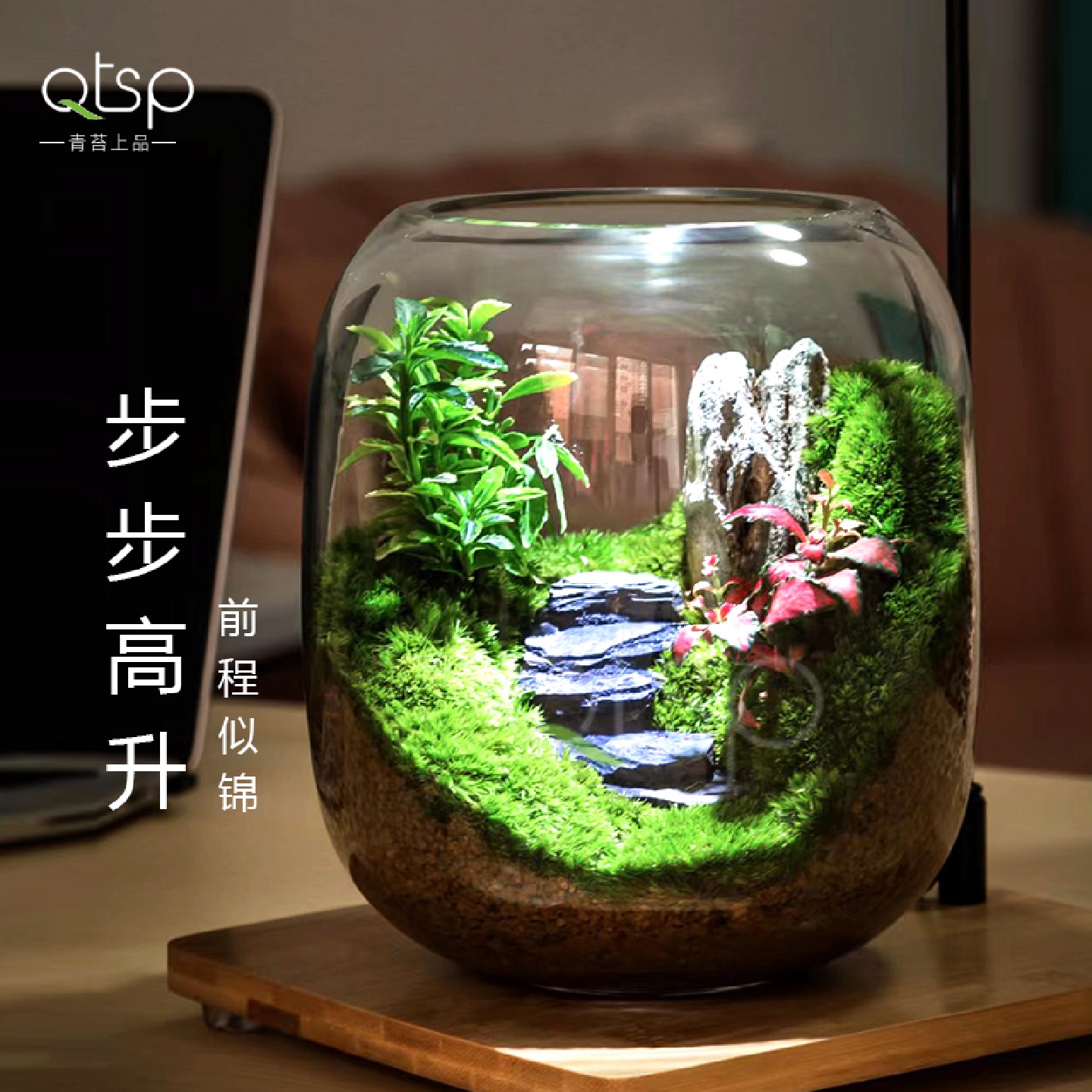 【步步高·升】创意苔藓微景观摆件植物盆景办公室桌面绿植生态瓶