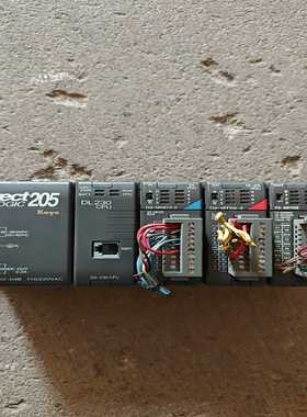 Koyo光洋D2-04BD2-230CPUD2-1询价