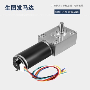 31ZY涡轮蜗杆减速马达家用电器微型直流带编码 5840 器电机