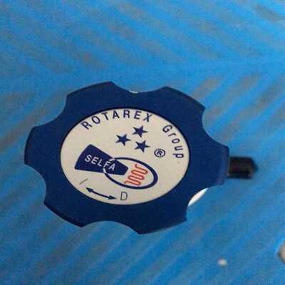 （霸霸电子）ROTAREX   SELFA  SI 240调压阀 成色如