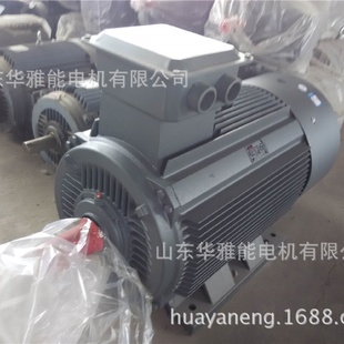器用户提供并安装 YE4 11电机盐雾环境用YE4电机带德国编码 160M