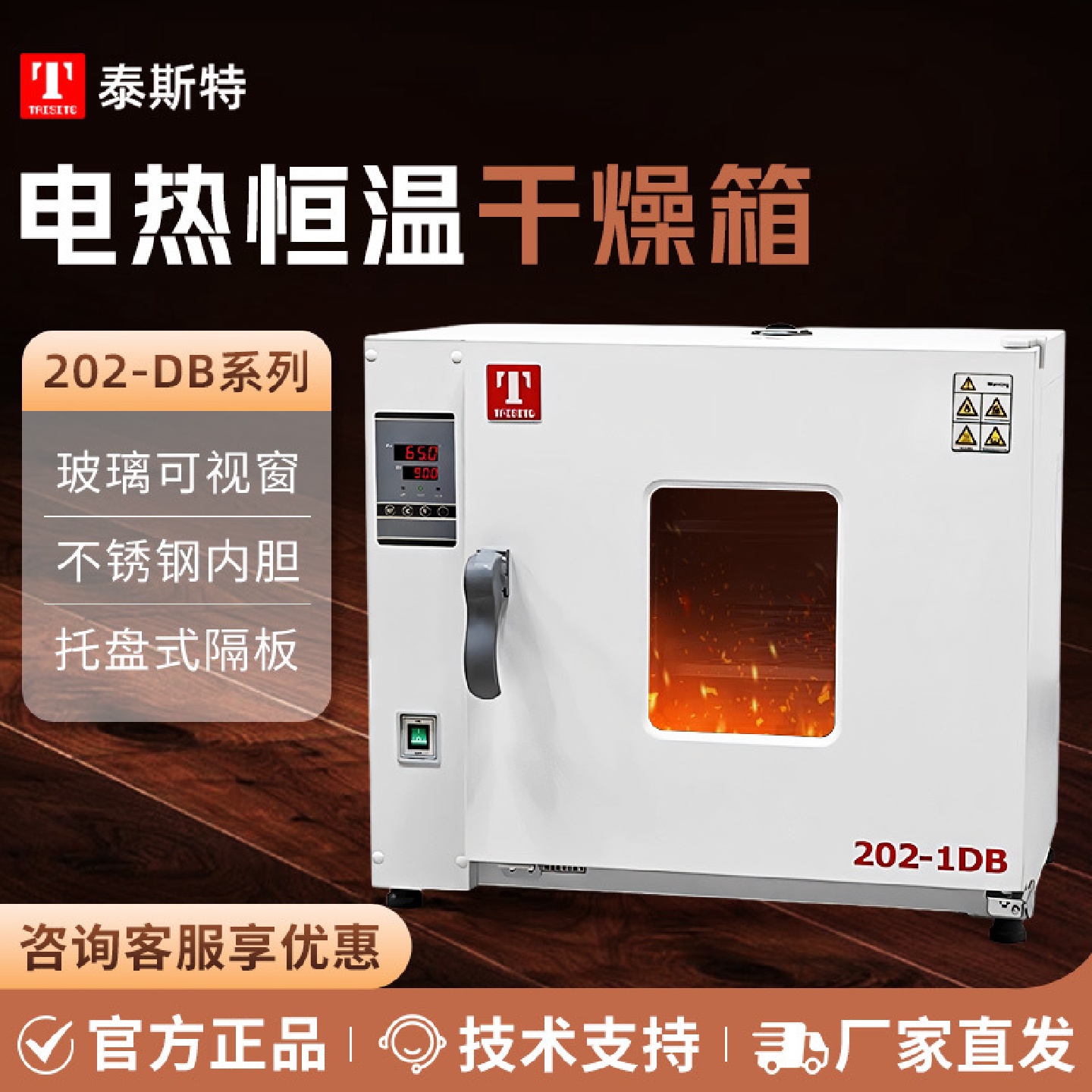 天津泰斯特101-1DB/2DB/3DB电热鼓风干燥箱实验室小型烘箱