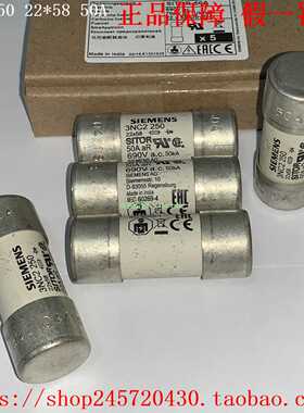3NC2220/2225/2232/2240/2250/2263/2280/2200西门子快熔保险丝