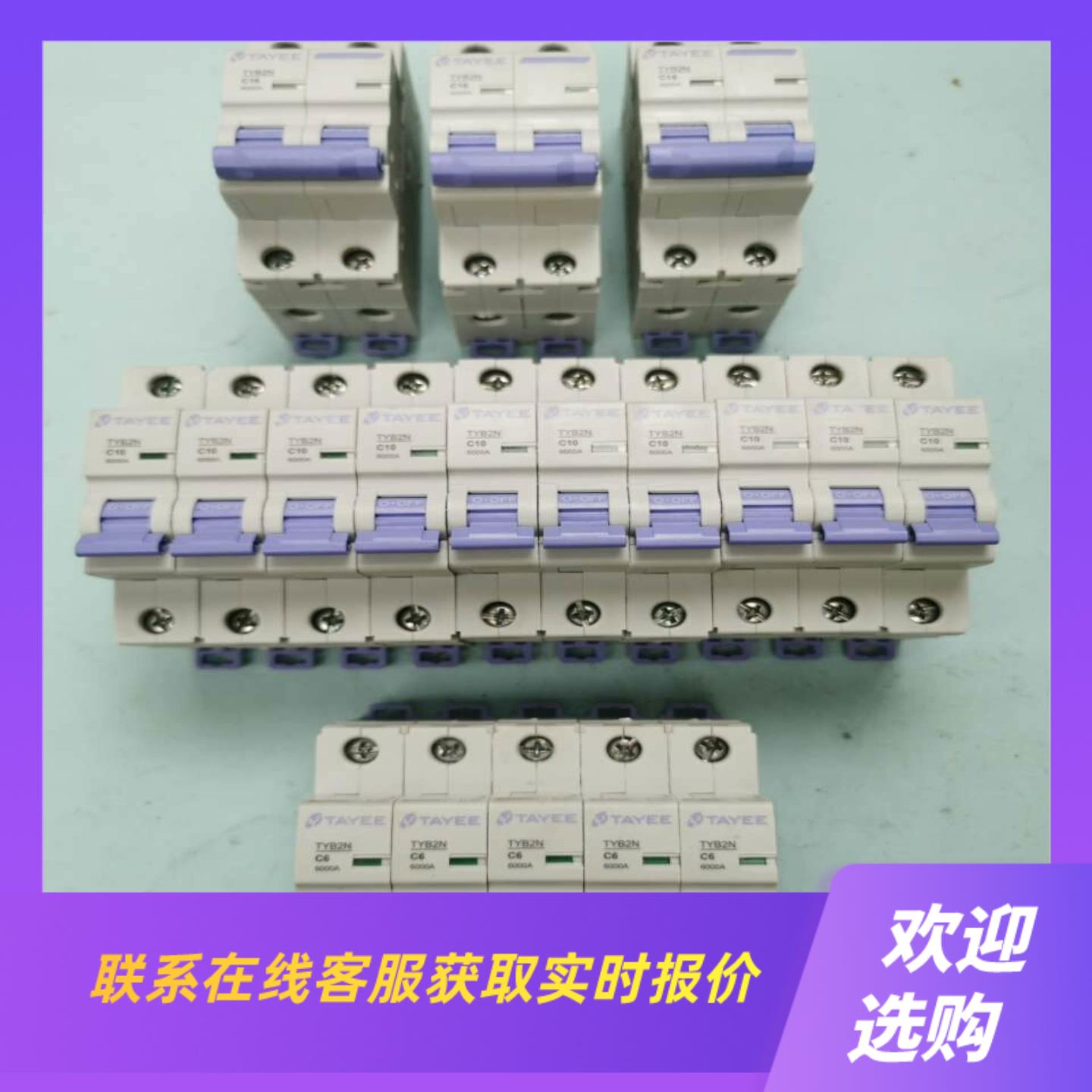 上海天逸TYB2N空开开关1p2p6A10A16A拍前询价下单