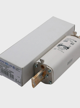 JeanMllerM1GL100/1200NH11054300100ANH-Sicherungseinsa