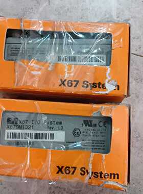全新原装贝加莱X67DM1321模块，数量1X500500--议价商品