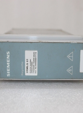 西门子2RMLG01电源供应2993H10060