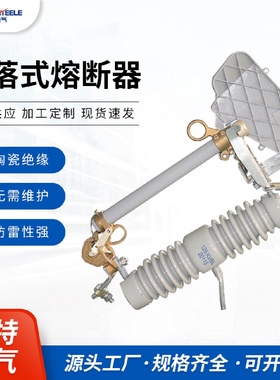 户外高压跌落式熔断器变压器保险开关NXC-12F/200A跌落式熔断器