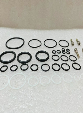 Gilmore44475SKNov9910318SealKitEgulator