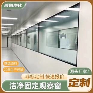 双层中空观察窗无尘车间固定窗洁净室实验室成品钢化玻璃净化窗