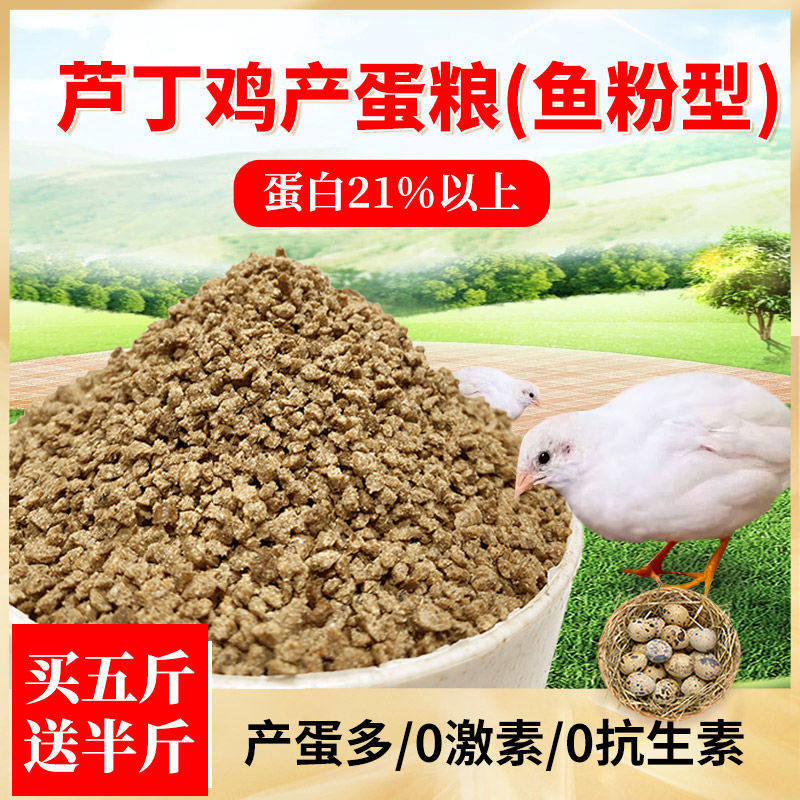 鸡饲料芦丁鸡饲料产蛋专用料粮鹌鹑卢丁鸡食粮鹌鹑下蛋雏鸡开
