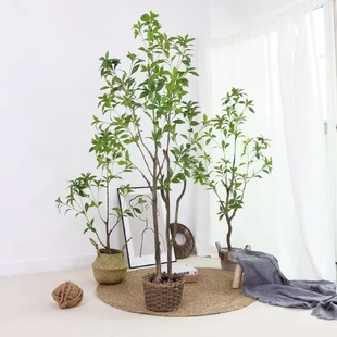饰假树盆栽植物 仿真花真绿植马醉木居家客厅落地摆件造景装