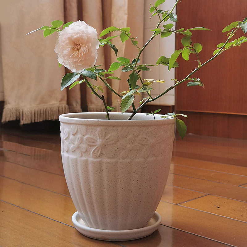 白色花盆陶瓷大号家用室内陶土盆三角梅茶花玫瑰绣球专用月季