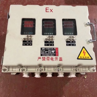 防爆控制仪表箱防爆称重仪表箱资质齐全8MM按键操作温控箱