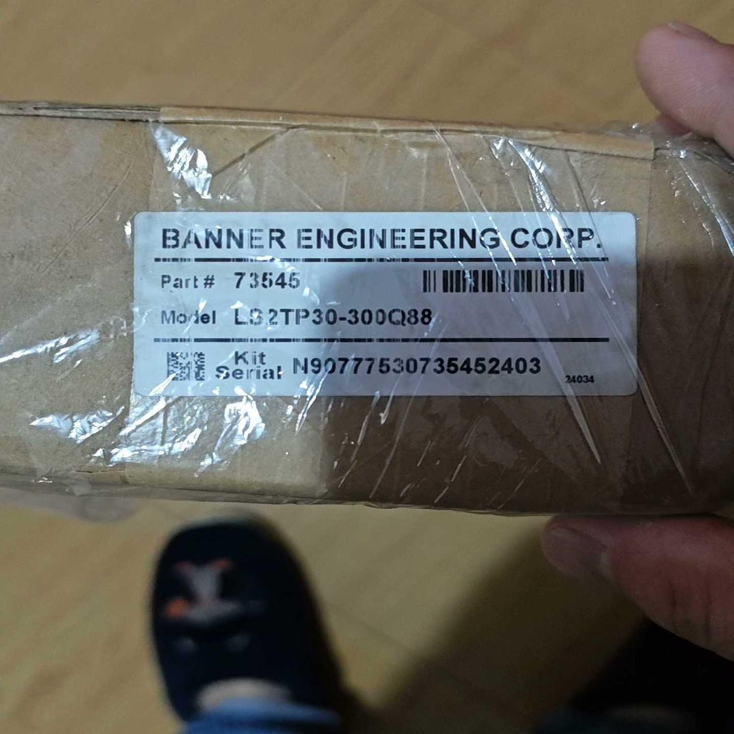 邦纳LS2TP30-600Q88-CNMW04