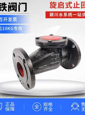 HT200黑色铁阀门旋起旋启式止回阀铸铁铜芯法兰止回阀DN100/DN1