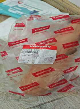 YANMAR洋马 EY18ALW FUEL INJECTOR--议价商品