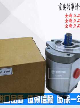 液压油泵高压HGP-3A齿轮泵3A-F25R F28R F30R F33R F35R 电机