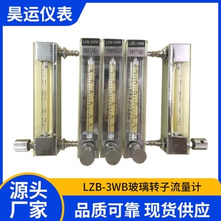 4WB微小气体液体玻璃转子流量计带调节阀玻璃转子流量计 LZB
