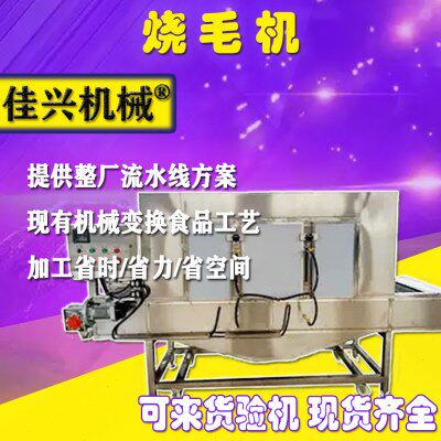 双层网带肉类燎毛机 山东猪蹄烧毛机 猪耳朵猪头烤毛机烧椒机