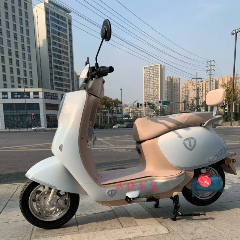 台铃电动车繁花后靠背繁花EB靠背总成后扶手后尾翼支撑杆后靠椅架