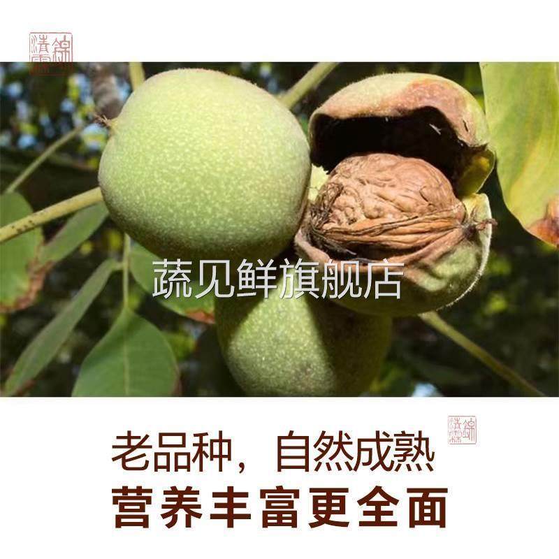 陕西核桃2024新货秦岭厚皮农家特产原味山核桃大果袋装零食
