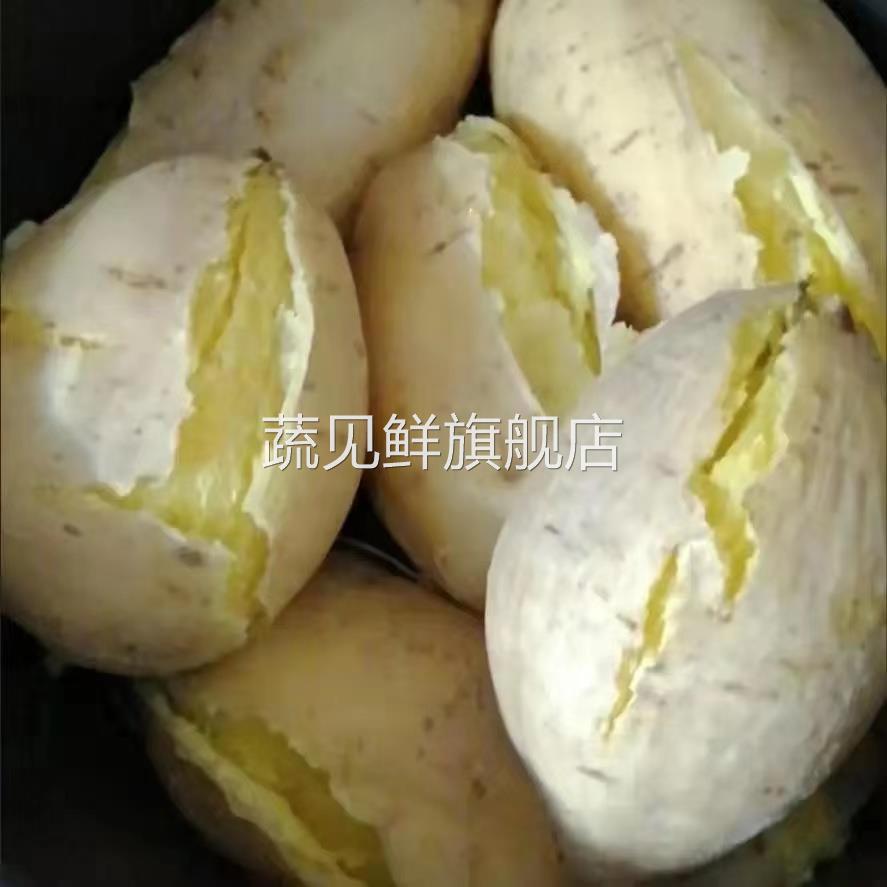 广东潮汕农家新鲜自种白皮黄肉番薯干粉糯板栗红薯香甜地瓜3斤5斤