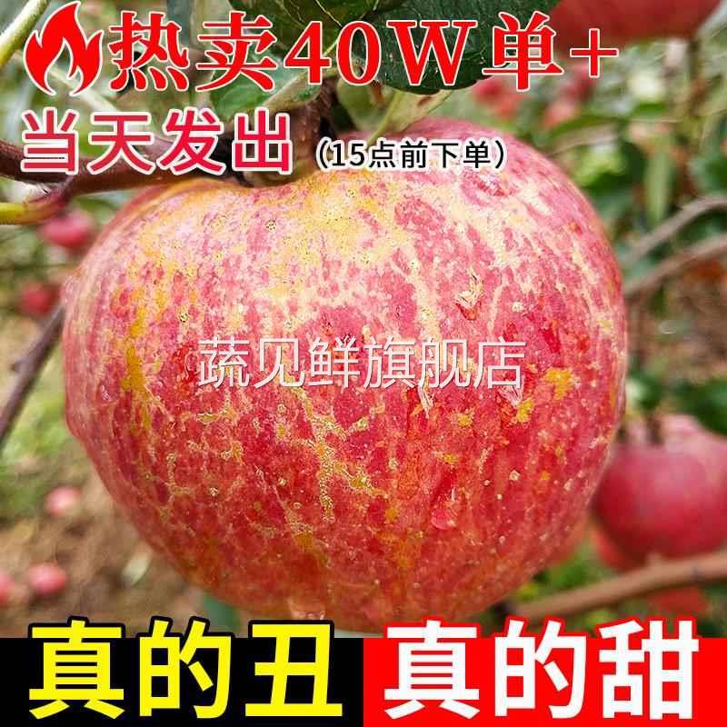 云南昭通市丑苹果正宗冰糖心苹果新鲜水果当季整箱年货红富士萍果