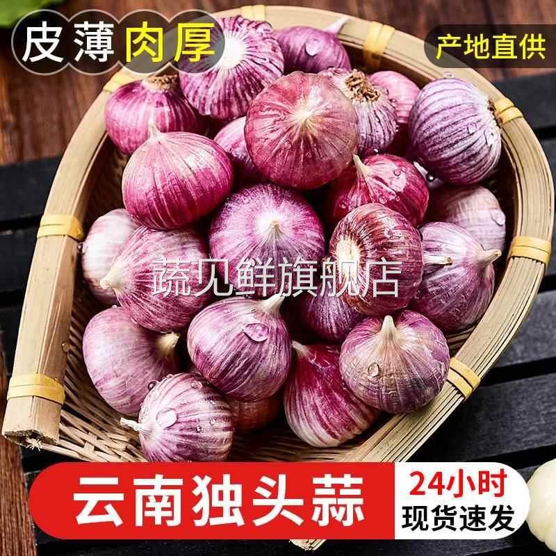 独头蒜紫皮云南2024干蒜5斤独蒜大蒜头新蒜新鲜蒜头干大蒜10