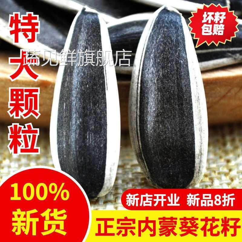 内蒙葵花籽特级新货生瓜子大粒薄皮食用向日葵原味炒熟葵瓜子