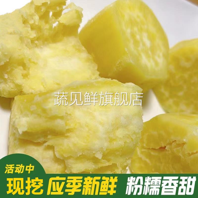 广东正宗潮汕白皮黄心板栗薯香甜粉糯现挖农家鸡蛋黄番薯地瓜包邮