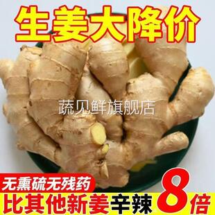 【出口品质】山东新鲜整片大黄姜高品质干姜生姜价老姜种