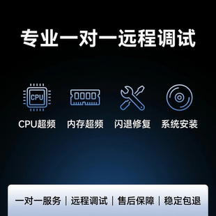 专业一对一远程调试服务CPU内存超频闪退修复系统安装 售后保障
